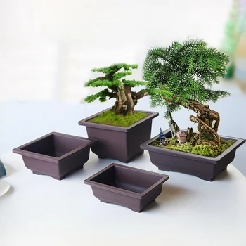 Rechteckige Bonsai-Trainingstöpfe, Kunststoff-Blumentopf mit Drainagelade, Sukkulenten-Pflanzentopf