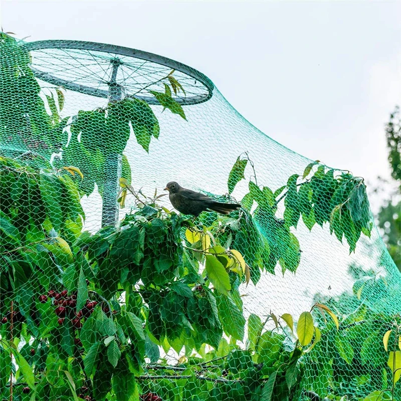 20/10 m Anti-Vogel-Schutznetz, Netz für Gartenpflanzen – Bild 5