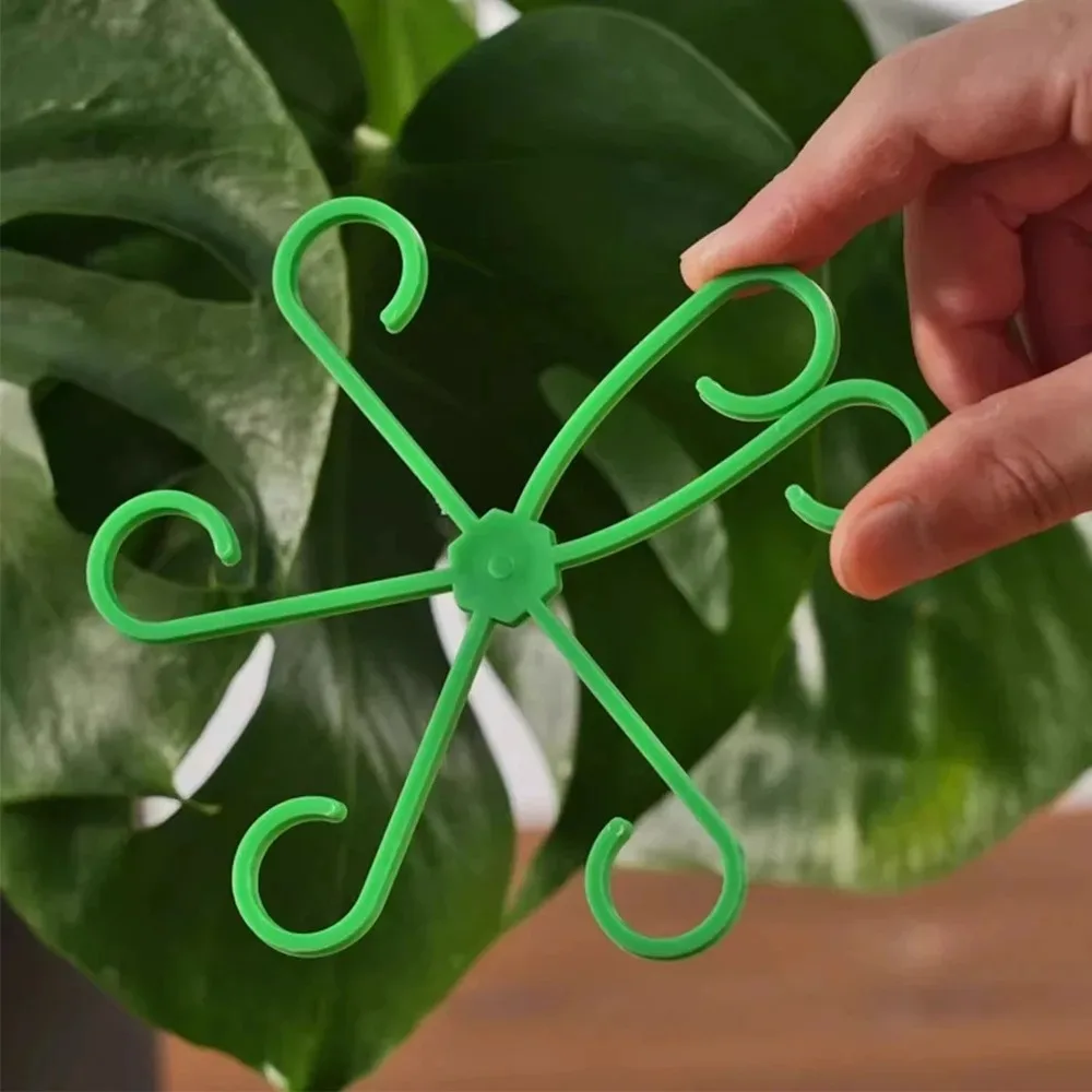Blume Pflanze Stem Unterstützung Stakes Klettern – Bild 3