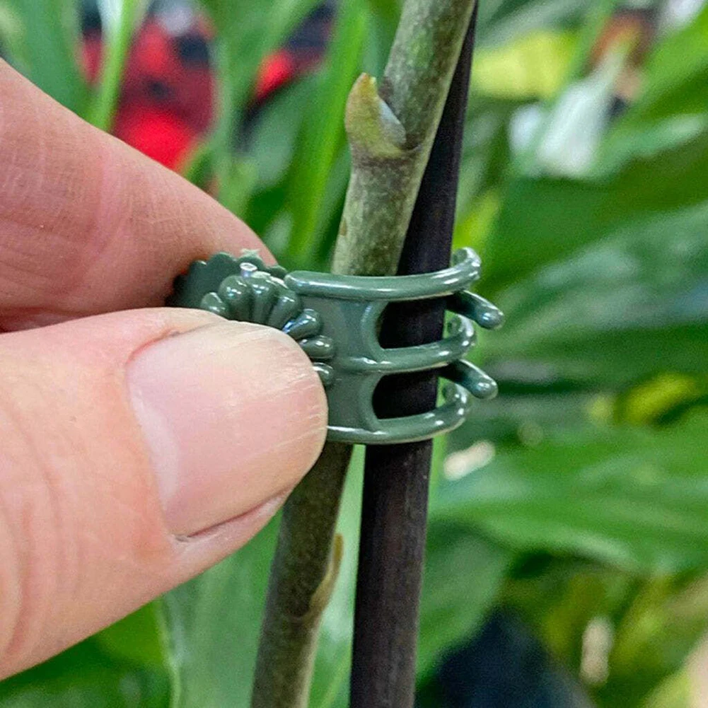 20 stücke Garten Pflanze Clips Schmetterling Orchidee Clips – Bild 5