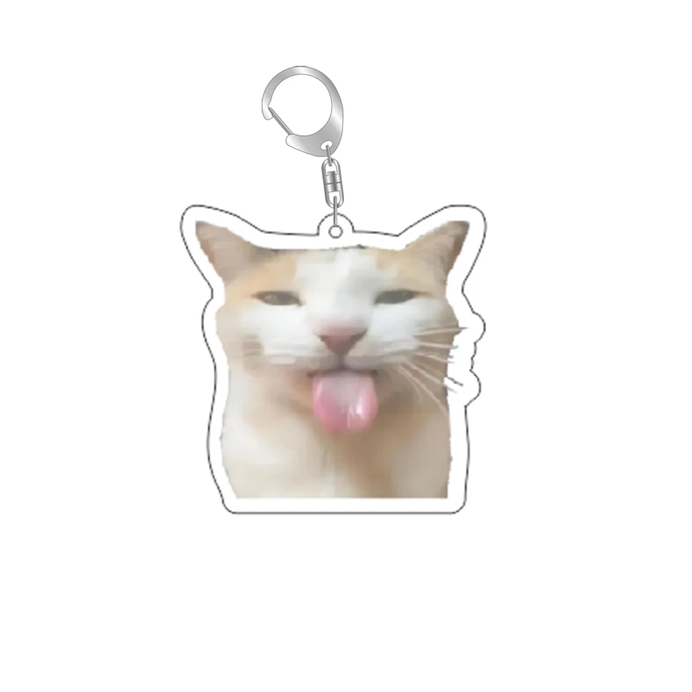 Lustige Katze Memes Serie Schlüsselanhänger Student – Bild 6