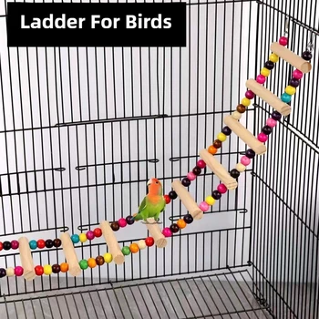 Natürliche Holzvögel, Haustiere, Papageien, Leitern, Kletterspielzeug, hängende bunte Kugeln