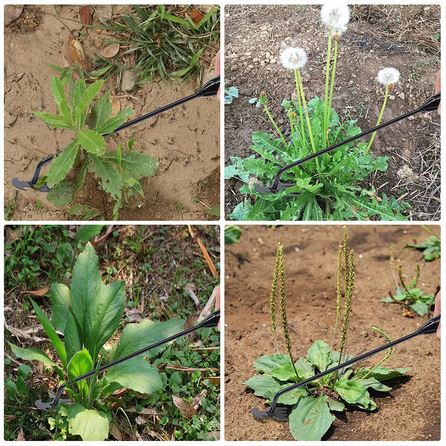Gartenhacke, landwirtschaftliche Lieferungen, Unkraut – Bild 4