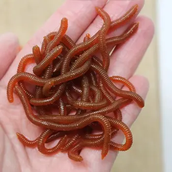 BURLE Lebensechter Fischgeruch, rote weiche Köder, Simulation Regenwurm, rote Würmer, künstliche Angelköder