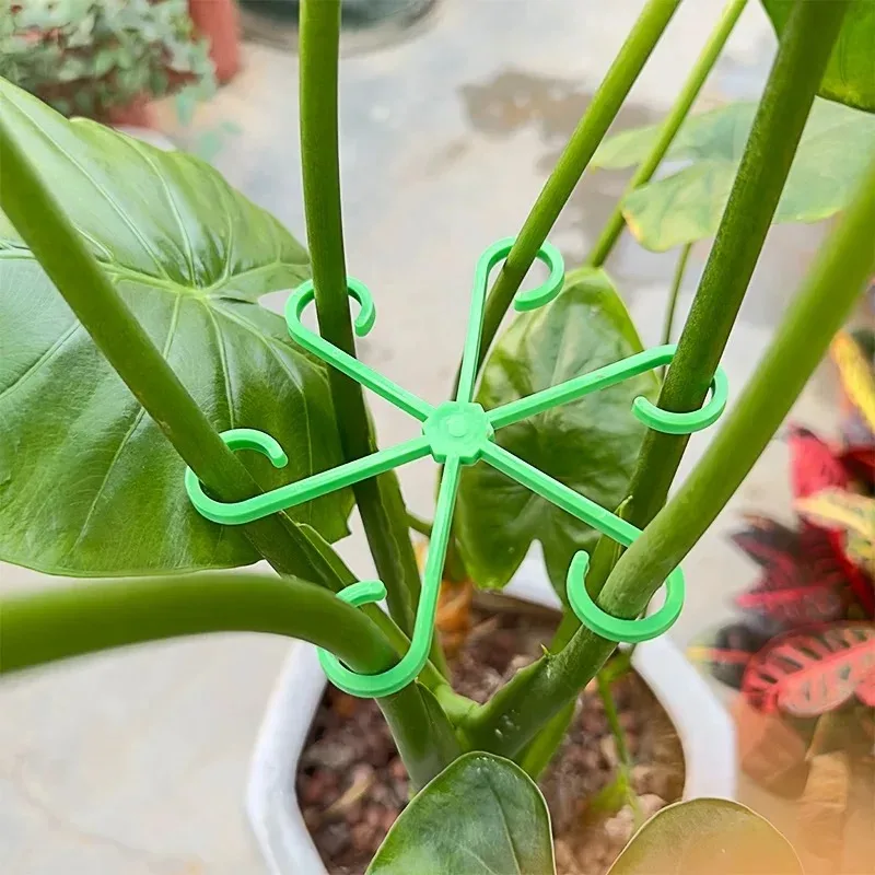 Blume Pflanze Stem Unterstützung Stakes Klettern – Bild 4