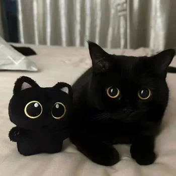 10 cm süße schwarze Katze Plüschtier Puppe kleiner Anhänger Kuschelkissen Kissen Ins schwarze Katze Plüschtier
