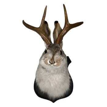 Innen-Schlafzimmer-Skulptur, Hasenkopf, Geweih, Wandbehang, Dekoration, Jackalope-Dekor, Tier-Wandhalterung
