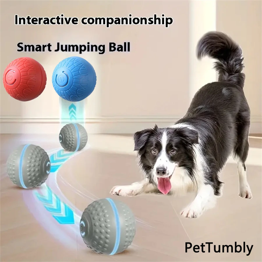 Intelligenter Hundespielball Automatischer Interaktiver