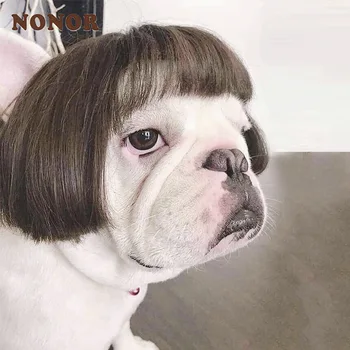NONOR Pet Perücken Cosplay Requisiten Lustige Hunde Katzen Cross-Dressing Haar Hut Kostüme Kopf Zubehör