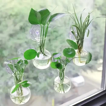 Kreative Halbkreisförmige Klasse Wand Vase Blumenteller Pflanze Hydrokultur Aquarium Wand Aquarium Dekoration
