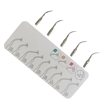 Dental Scaler Tipps Fit EMS Specht Ultraschall Scaler Handstück Dental Ultraschall Scaler Scaling (5 Stück)