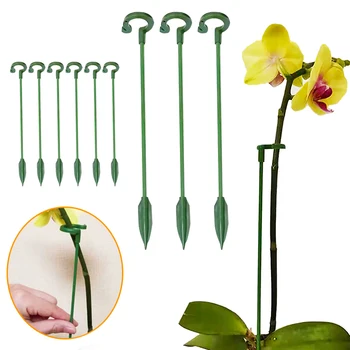 Kunststoff Anlage Unterstützt Blume Stehen Wiederverwendbare Schutz Befestigungs Werkzeug Gartenarbeit Liefert
