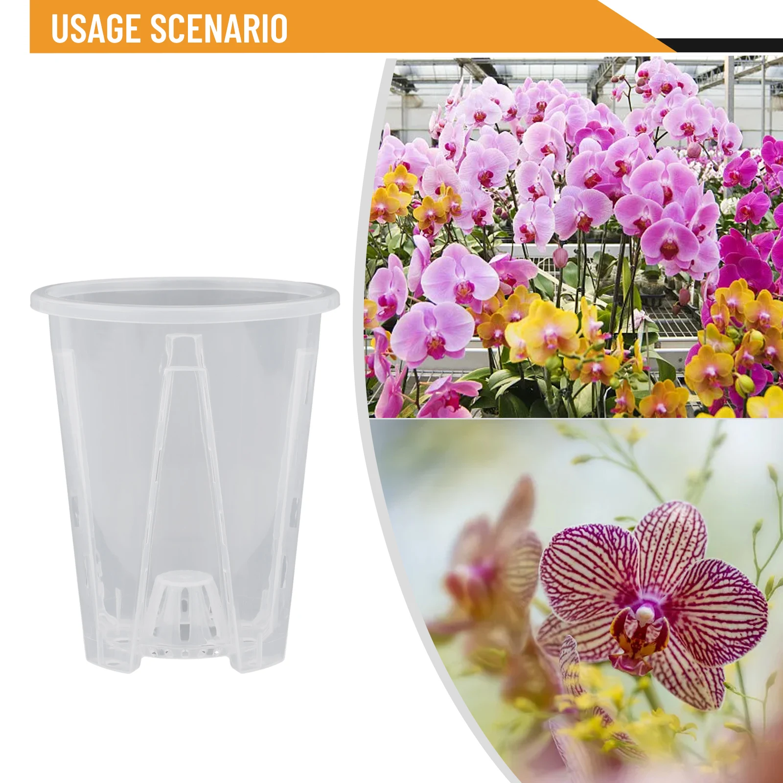 Wurzelkontrolle, durchsichtige Orchideentöpfe aus Kunststoff – Bild 4