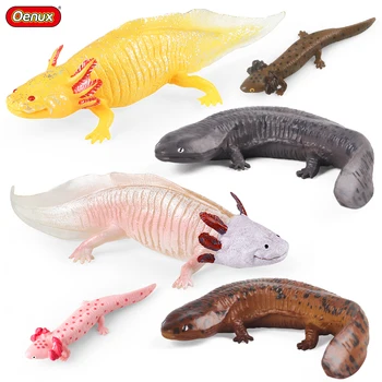 Oenux Amphibien Wassertier Newt Salamander Cryptobranchoidea Tiere Modell Actionfigur Bildung Niedliches