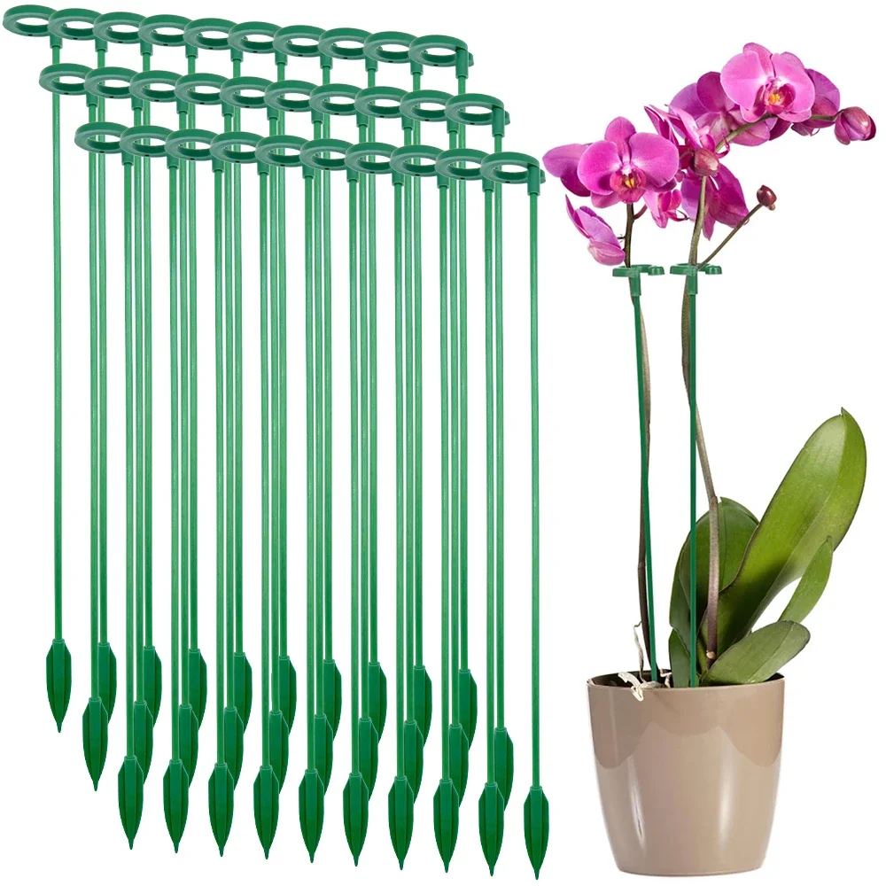 5/10PCS Anlage Unterstützt Stehen Schmetterlinge Orchidee