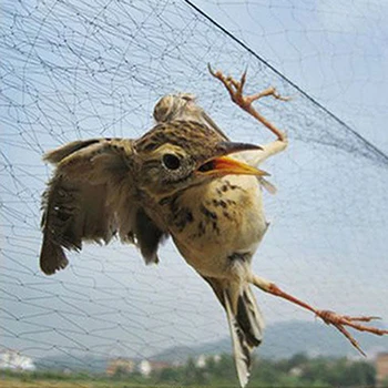 Vogel Net Anti Vogel Catcher Netting Teich Net Fischernetz Fallen Kulturen Obst Baum Blume Garten