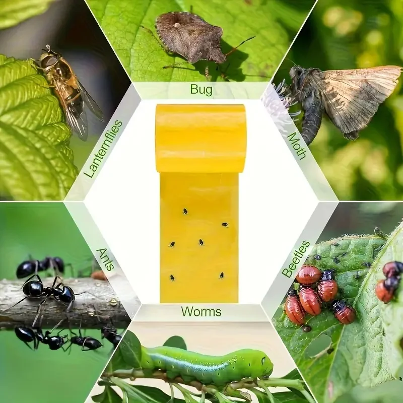 1 Rolle doppelseitiges klebriges Insektensperrband, wirksam – Bild 5