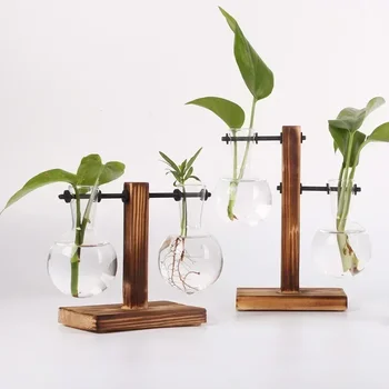 Hydrokultur-Pflanze, Terrarium, Vasevase, Dekoration für Zuhause, Glasflasche, Hydrokultur-Desktop-Dekoration