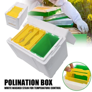 Bienenkönigin Zucht Box Bee Paarung Box Schaum Bee Hive Box Imker Garten Bestäuber Box Bee Zucht Fall