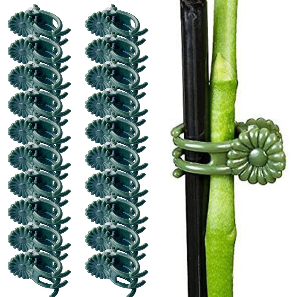 20 stücke Garten Pflanze Clips Schmetterling Orchidee Clips