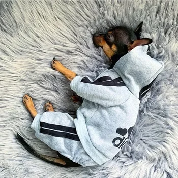Haustierkleidung, französische Bulldogge, Welpe, Hund, Haustier-Overall, Chihuahua, Mops, Haustiere