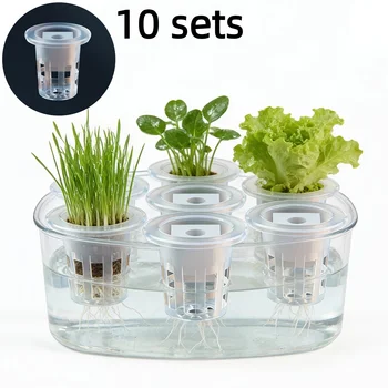 Hydroponik-Set für Setzlinge (Enthält 10 Pflanzkörbe + 10 Setzlingsschwämme) | (10 Stück)