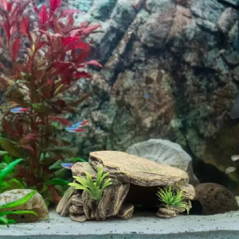 Reptilien-Versteckhöhle mit Sonnenplattform im – Bild 5