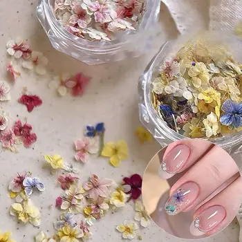 Getrocknete Blumen Nagelkunst-Dekoration im Monet-Garten-Stil, echte getrocknete Blumen für Nägel