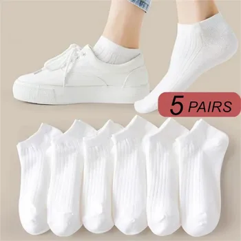 5 Paar/Pack Knöchelsocken für Damen, 100 % Baumwolle, unsichtbar, schweißabsorbierend, für Mädchen, niedrige