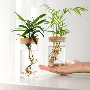 Hydrokultur-Pflanzen-Desktop-Glaspflanzer-Vase für Heimdekoration, Pflanzenvermehrungsstation, Knospenvase