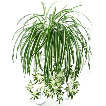 Künstliche Pflanzen Wandbehang Chlor ophytum Topf grüne Pflanzen PVC gefälschte Pflanzen Simulation Blume