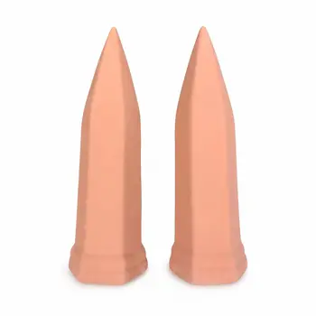 2 Packungen, selbstbewässernde Pfähle für Pflanzen, automatische Terrakotta-Pflanzenbewässerungsgeräte