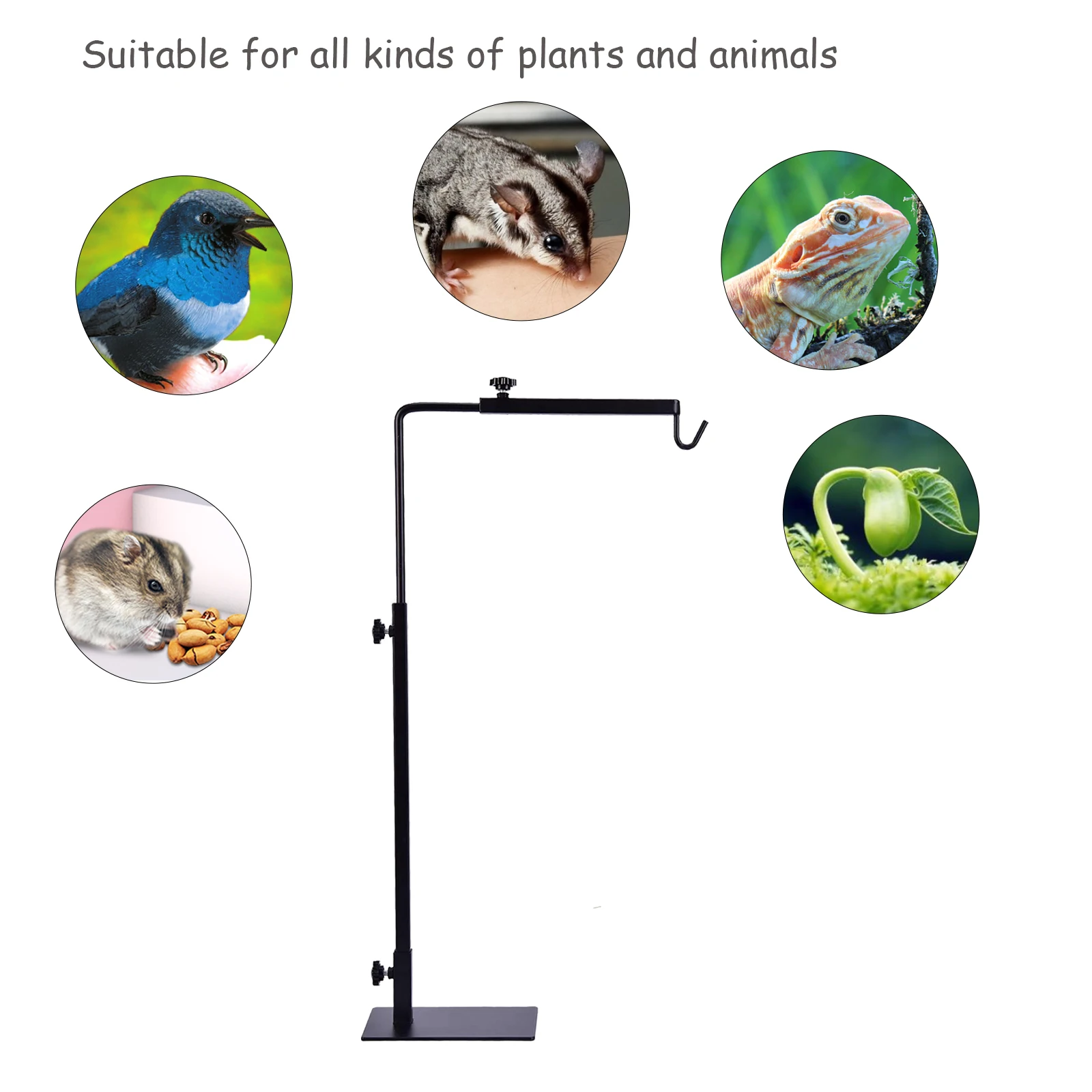 Verstellbarer Reptilien-Lichtständer, 15-25 Zoll, Geeignet – Bild 6