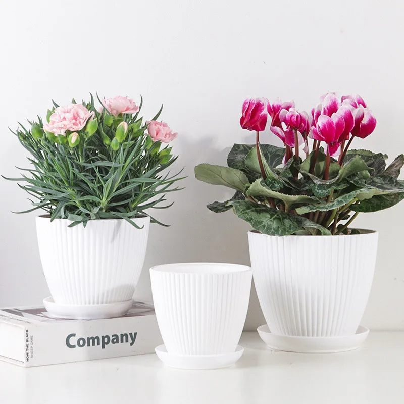 Blumentopf, runde Pflanzgefäße, Sukkulenten, Blumentopf mit – Bild 2