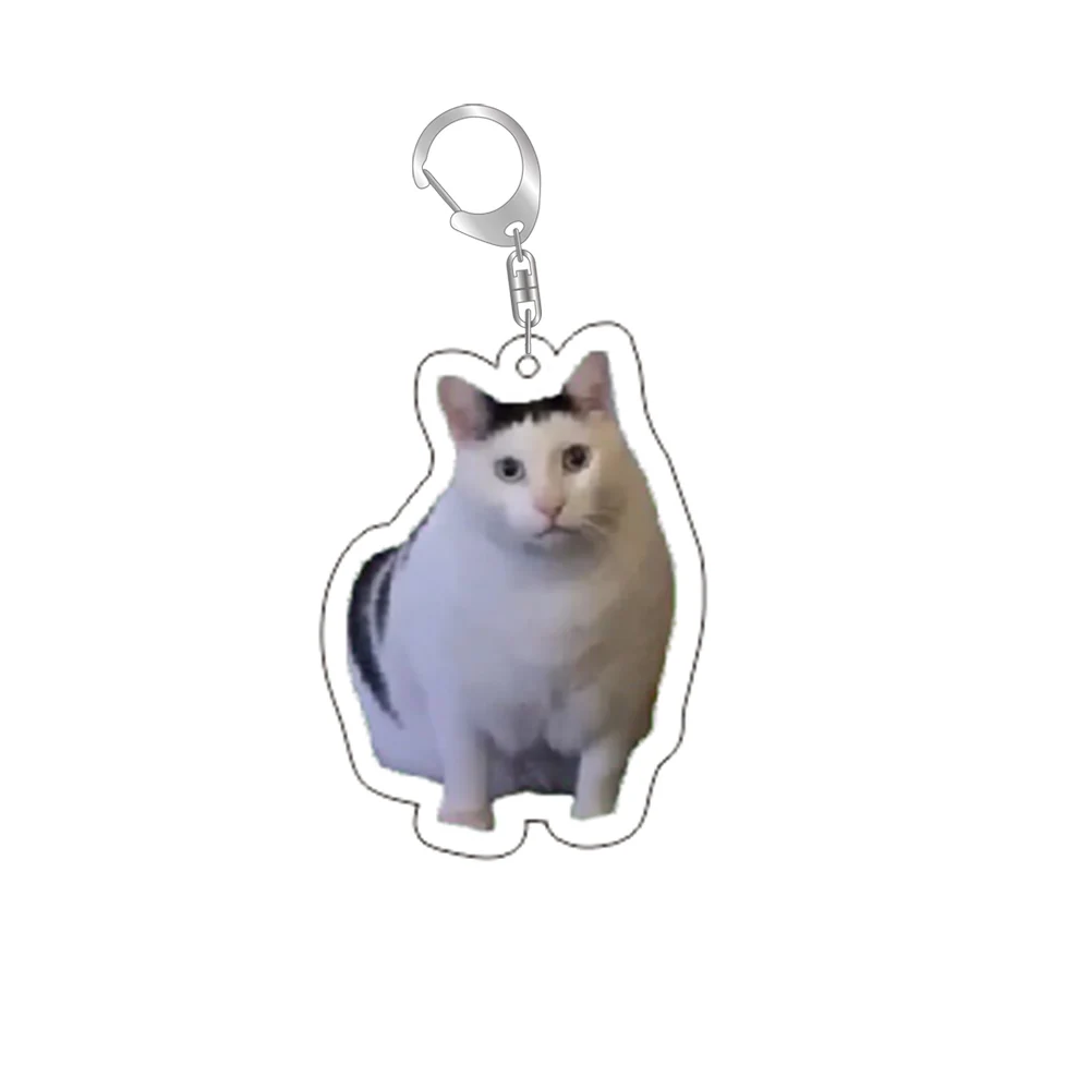 Lustige Katze Memes Serie Schlüsselanhänger Student – Bild 4