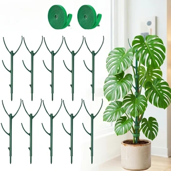 Monstera-Pflanzenstützstäbe, entwickelt für die Unterstützung von Kletterpflanzenstängeln (6 Stück)