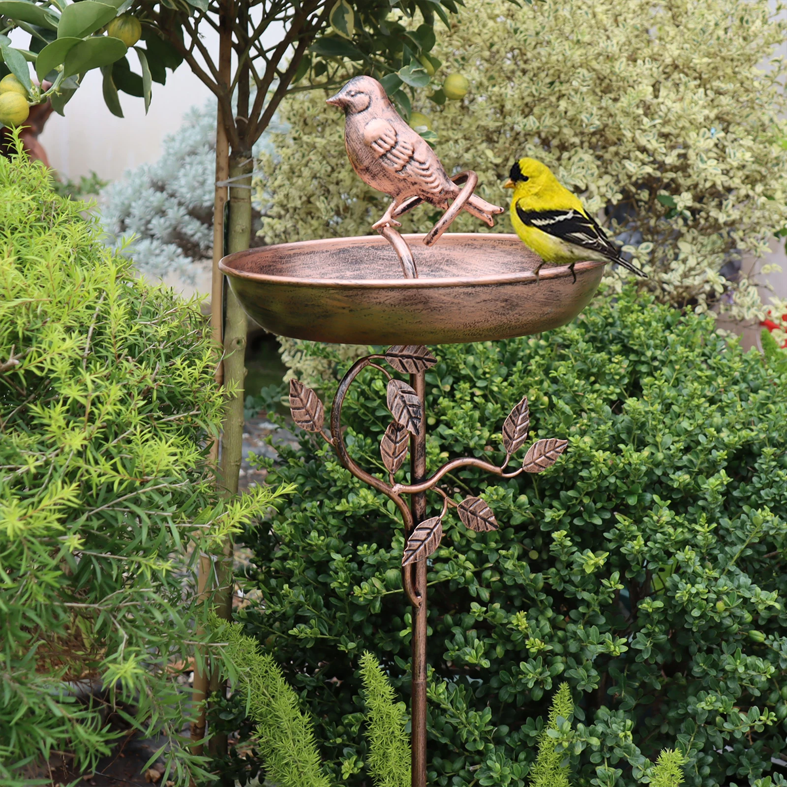 Garten-Vogelbad, robustes Eisen-Vogelbad für den – Bild 6