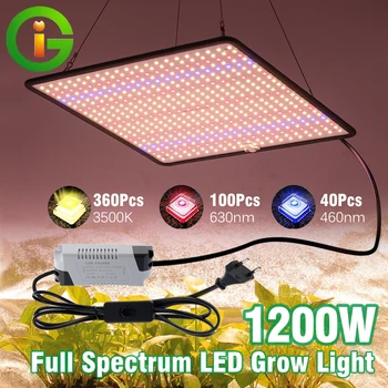 LED-Wachstumslicht, Vollspektrum, Phyto-Lampe, AC85-240 V, 40 W, für Indoor-Wachstumszelt, Pflanzen