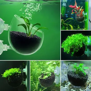 Aquarium Dekoration Pflanze Tasse Topf Acryl Wasserpflanze Tasse Mit Saug Halter Pflanzen Zylinder Tasse