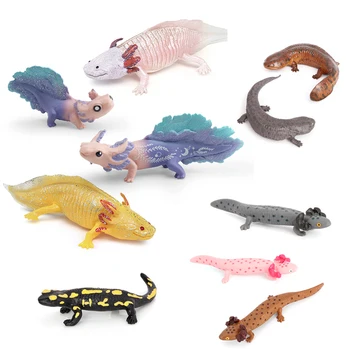 Realistische Wilde Reptil Tier Spielzeug Salamander Cryptobranchoidea Axolotl Modell Figur Sammlung