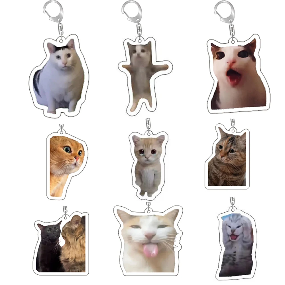 Lustige Katze Memes Serie Schlüsselanhänger Student