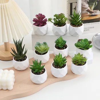 Künstliche saftige Bonsai Pflanzen Simulation Sukkulenten Mini immergrüne Bonsai Kaktus saftige Kunststoff