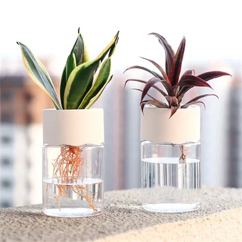 Mini Hydrokultur Blumentopf Hause Vase Dekor Transparent Imitation Glas Soilless Blumentöpfe Grün Pflanzen