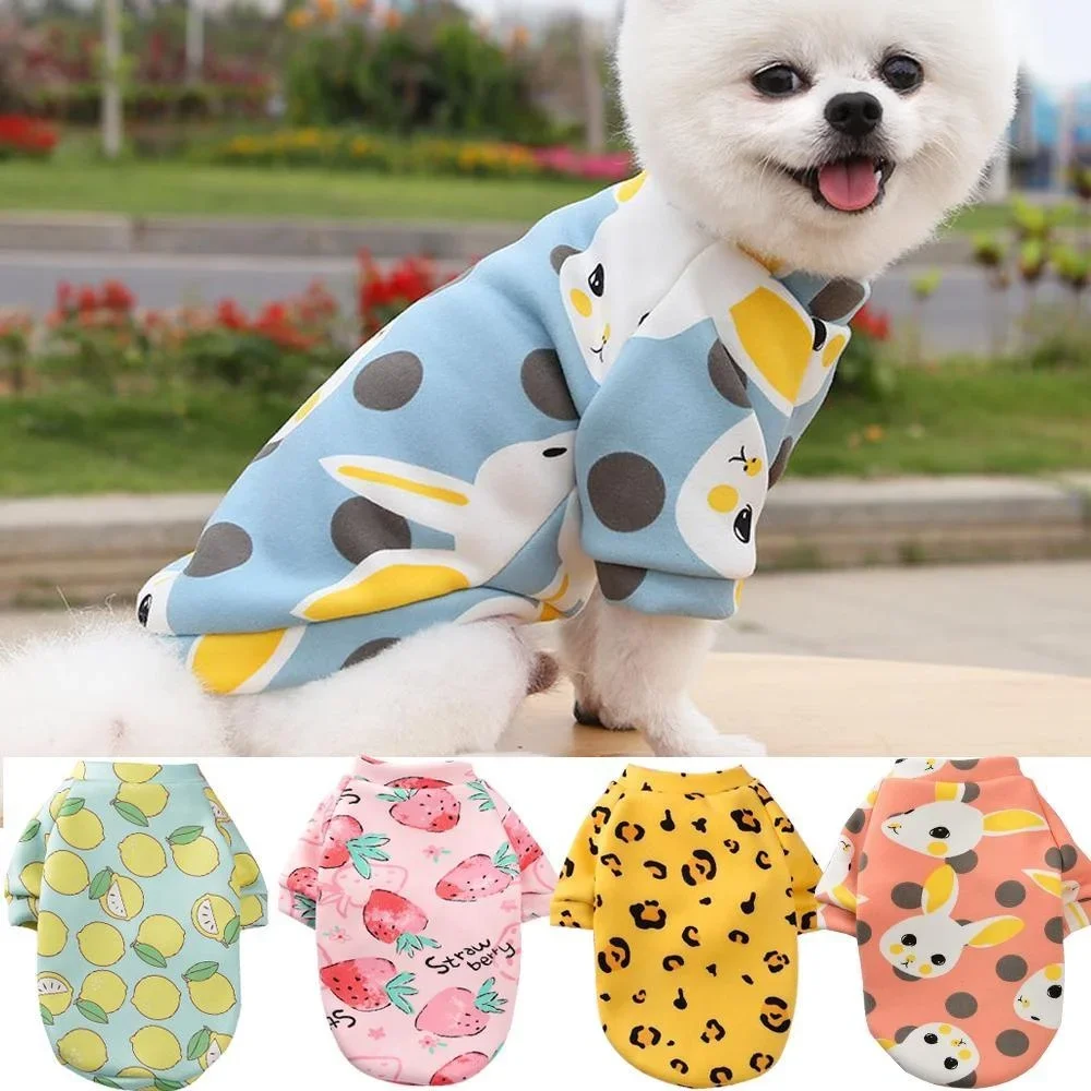 Chihuahua-Hunde-Sweatshirt, Welpe, Katze, Pullover, Hunde