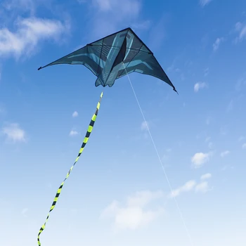 Yongjian 2m Flugzeugdrachen Delta-Drachen Geeignet für Outdoor-Camping mit Großen Erwachsenendrachen