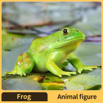 Amphibien Frosch Figur Ochsenfrosch Insekt Modell Simulation Kaulquappe Luke Frosch Wachstumszyklus