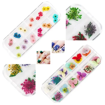 12 Farben getrocknete Blumen Nail Art Dekoration 3D natürliche Blumen bunte getrocknete Blumen Charms Nagel