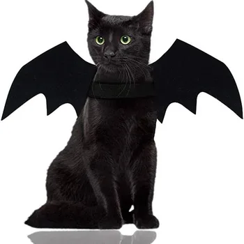 Nette Katze Cosplay Kostüm Schwarz Fledermaus Flügel Sicherheitsgurt Rolle Spielen Haustier Katze Hund