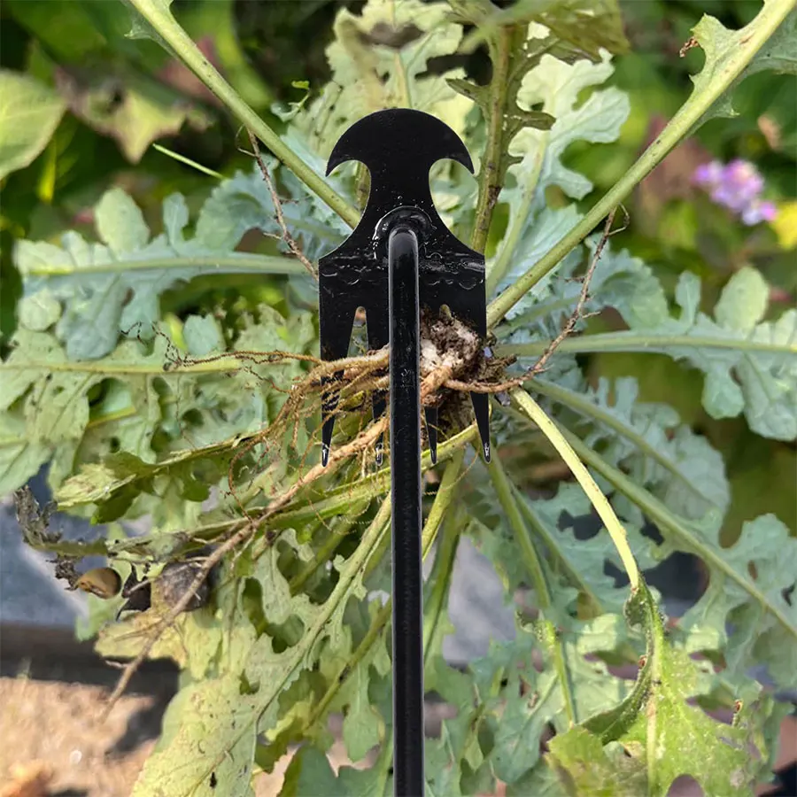 Gartenhacke, landwirtschaftliche Lieferungen, Unkraut – Bild 2