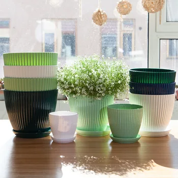 Blumentopf, runde Pflanzgefäße, Sukkulenten, Blumentopf mit Tablett, Büro, Schreibtisch, Balkon, Haus, Garten